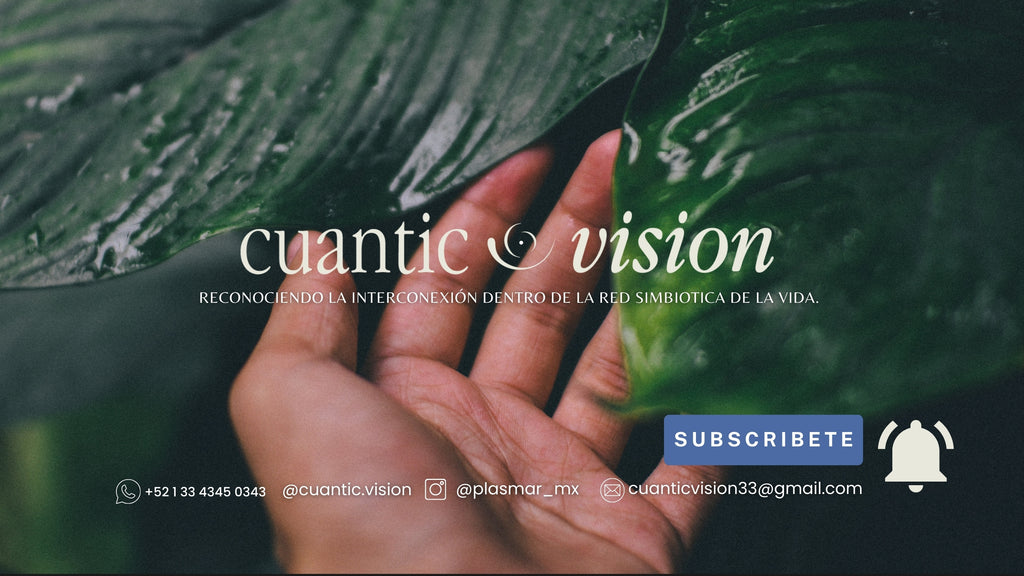 Cuantic Vision